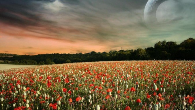 为什么董明珠攻击小米空调，而公牛却没有攻击小米插座？